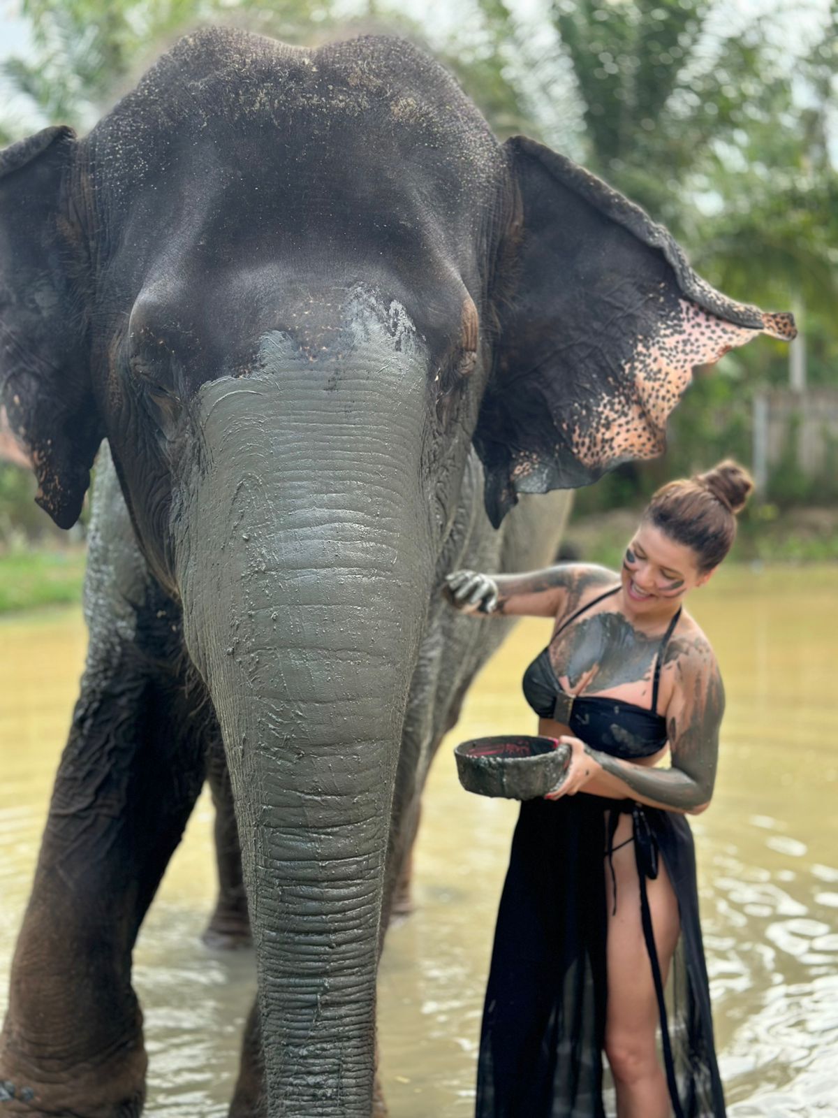 agenciaworldconnection00011